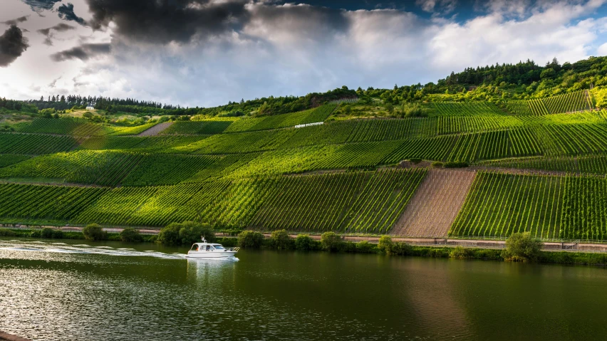 a boat travels down a river surrounded by green crops