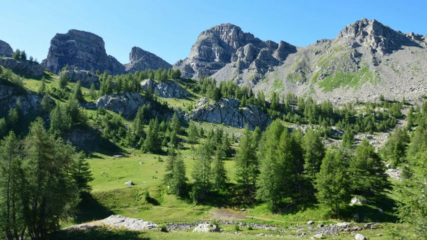 mountains near a forest with trees and grass on the foreground