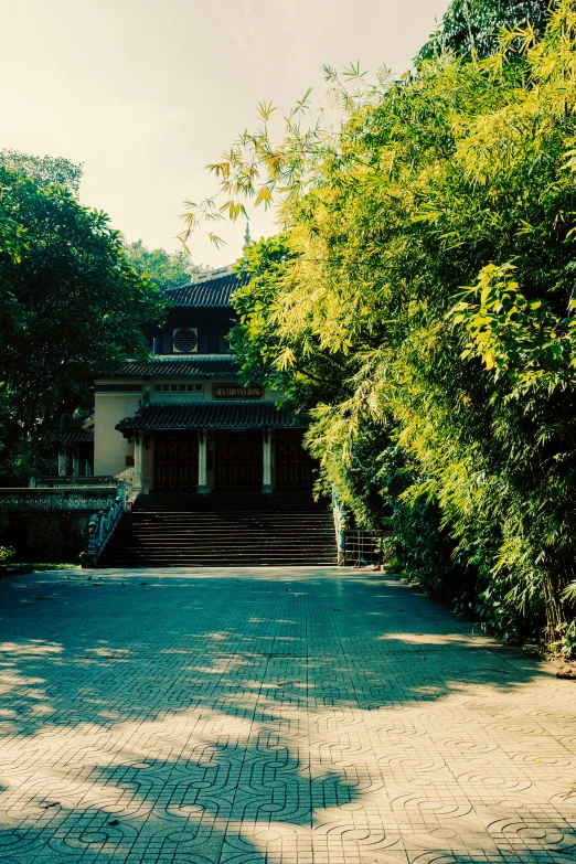 a person on a sidewalk near some trees and steps