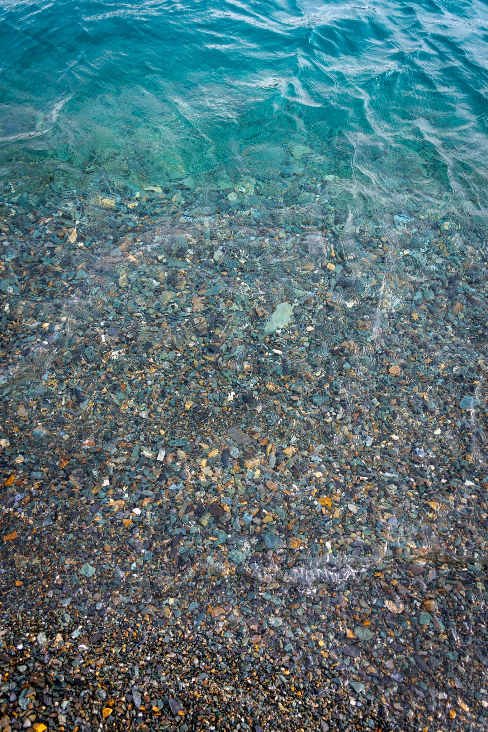 there is an image of an ocean bottom with sea glass