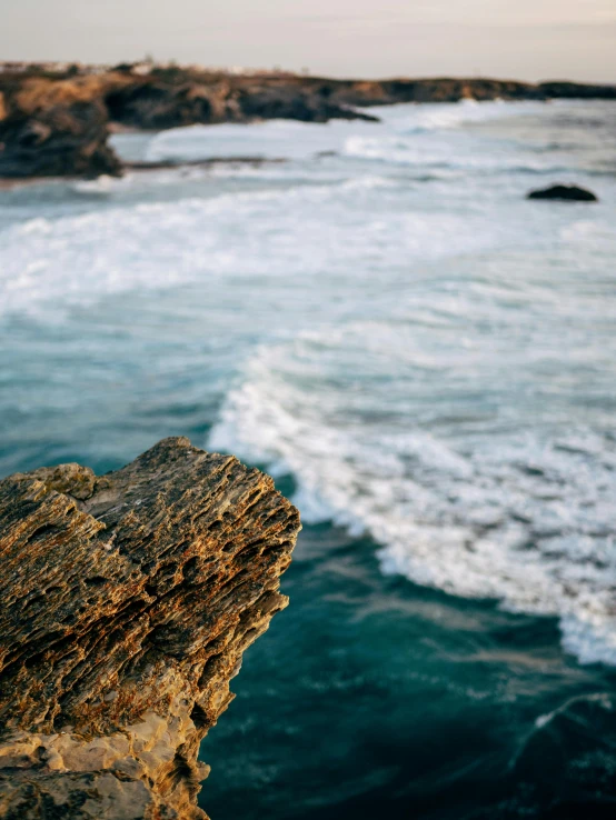 a seagull perched on the edge of a cliff looking over the ocean