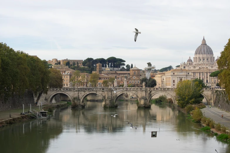 birds are flying near the old architecture and water