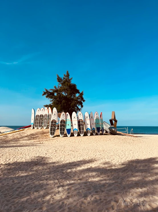 the view of a row of surf boards sitting in the sand