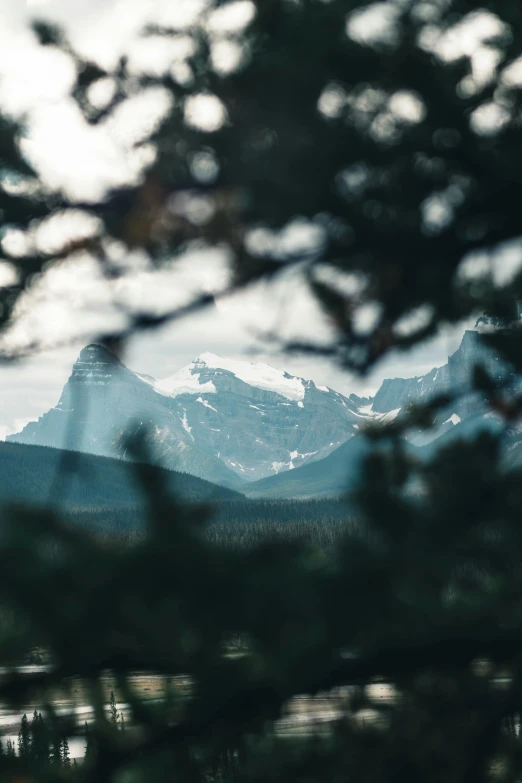 the mountain peaks are seen through some trees