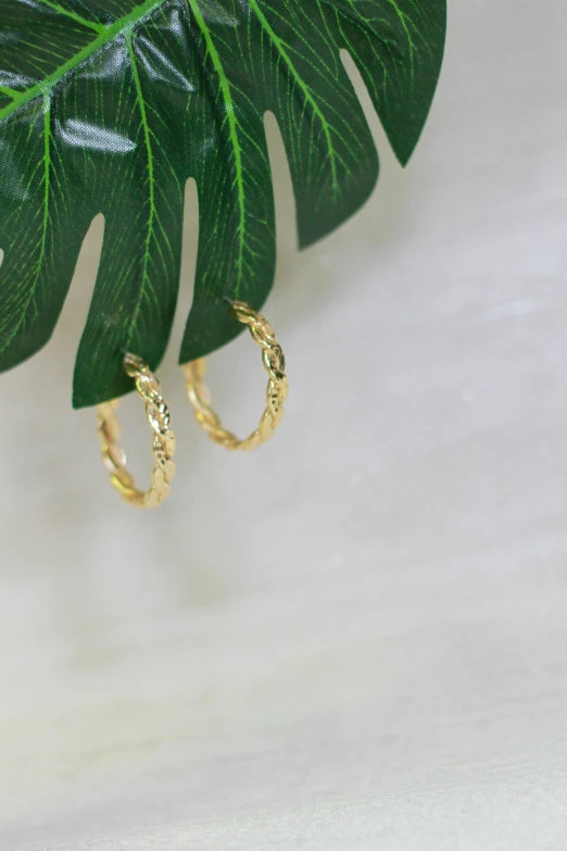 two gold rings hang from a green leaf