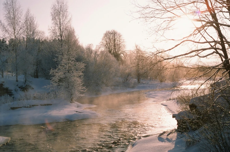 a river flowing through a snowy forest on top of a snow covered hillside