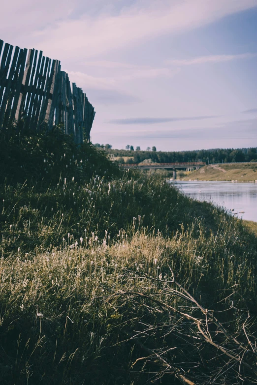 an old fence stands in the grass along the bank