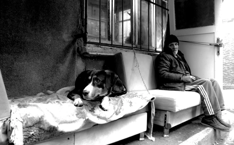 a man sits on the bed while his dog sleeps