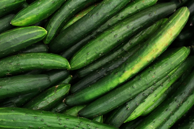 a bunch of cucumbers with green leaves on them