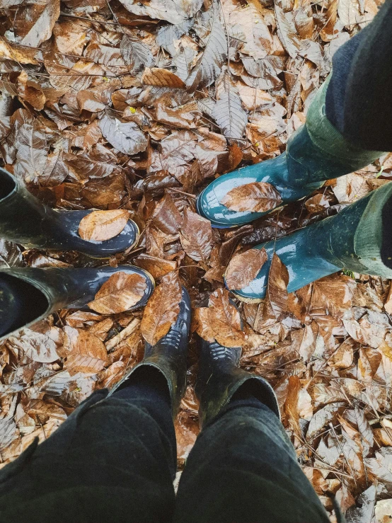 there is a view of someone standing in the leaves