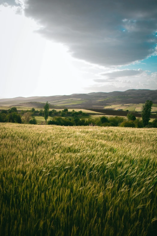 an empty field is shown as sun sets