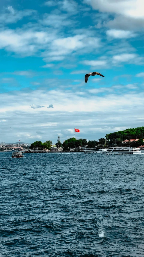 the sea bird is flying over the calm water