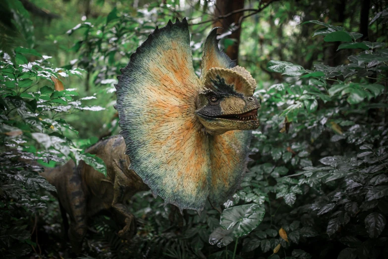 a small dinosaur with an out - of the image look is in the bushes