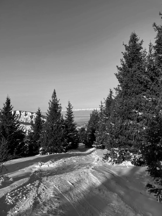 a road that is snow covered and with trees around it