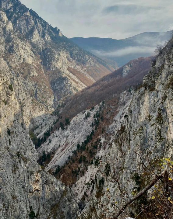 mountain valley with a bunch of trees in it