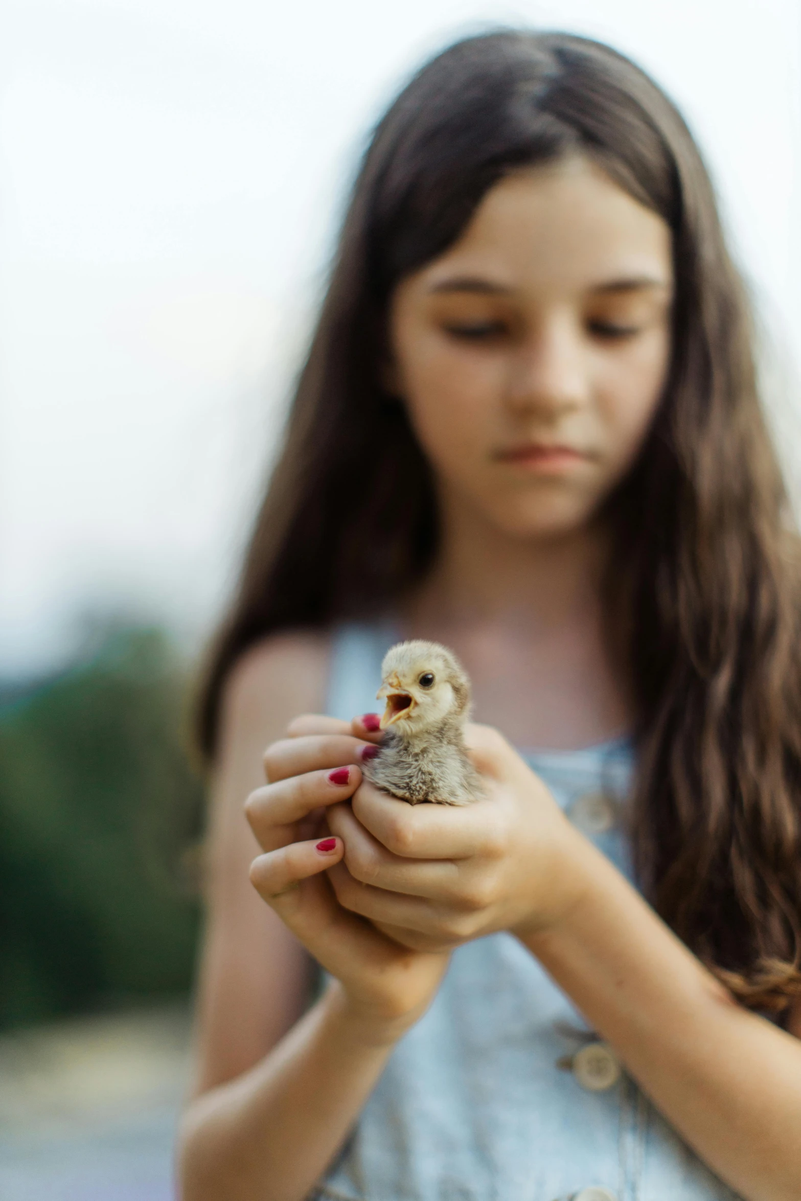 a little girl with long hair is holding a baby chick