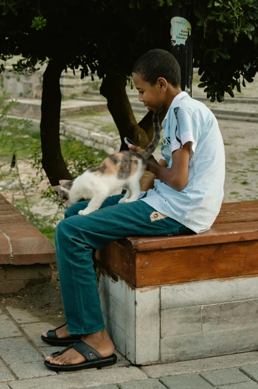 a person sitting on a bench with a cat