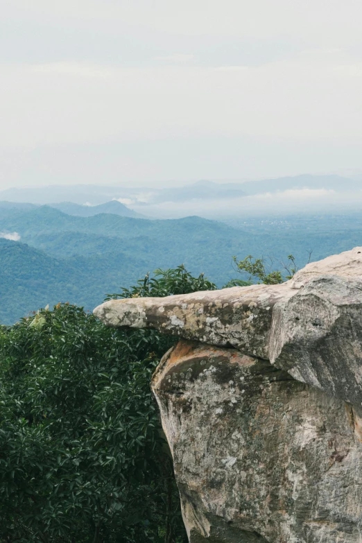 the red bird sits atop a rock with a view of the mountains