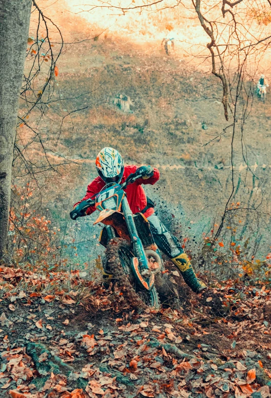 person riding a dirt bike in a forest