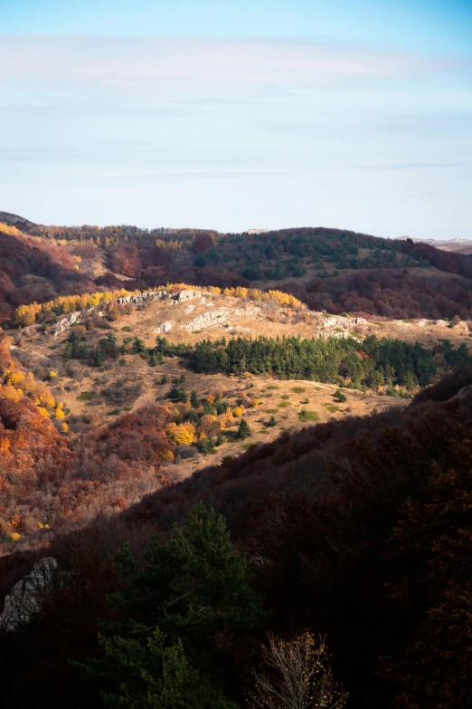 a beautiful view of a mountain with trees surrounding