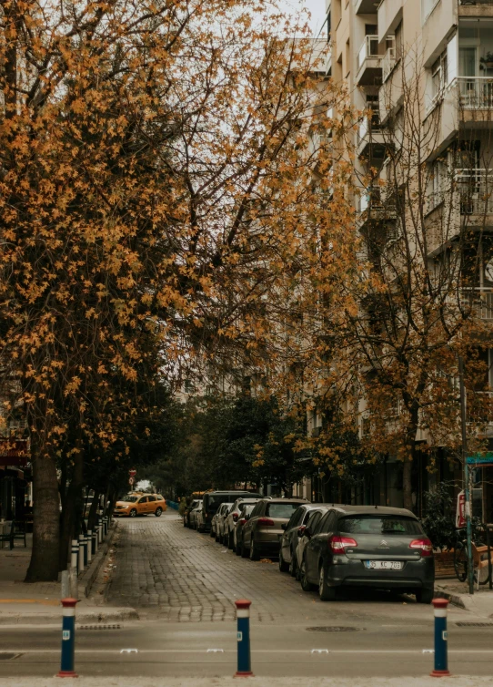 the street is lined with parked cars and tall buildings