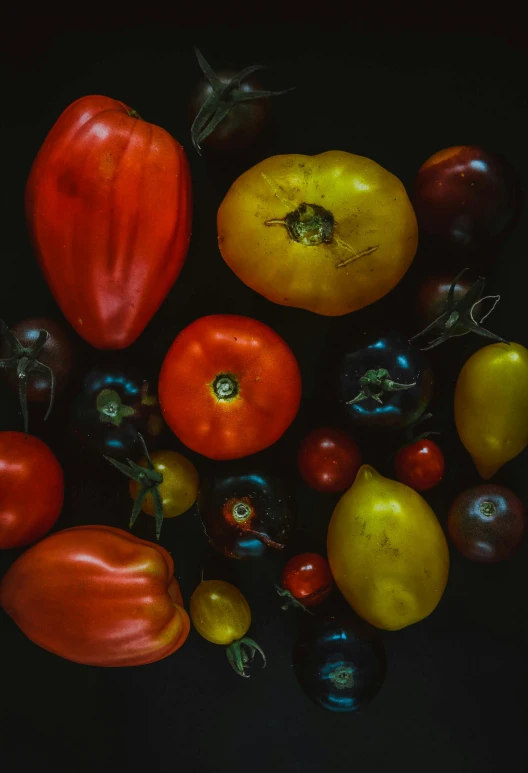 several types of tomatoes and green and yellow peppers