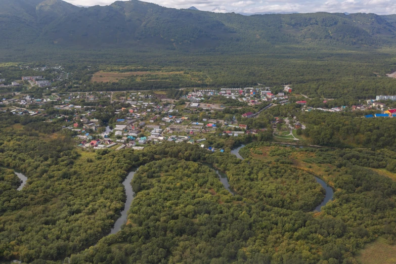 aerial view of lush green and trees with small town in center