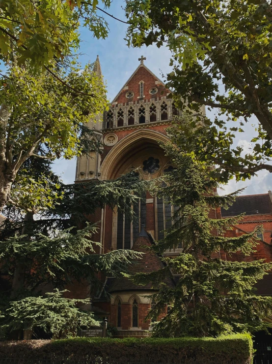 looking up from the trees to a building with a large clock tower