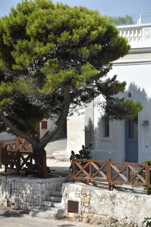 a small house sits next to some large trees