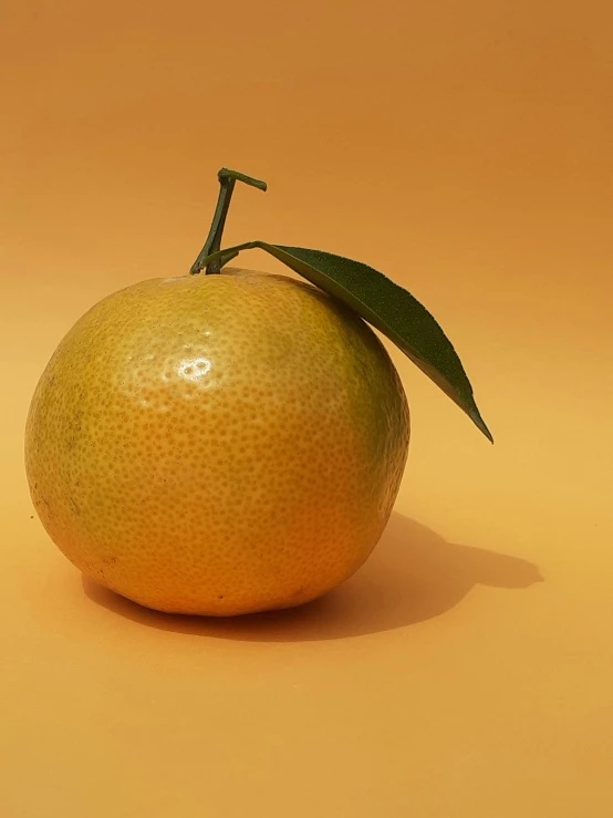 a large, round orange sitting on a beige background