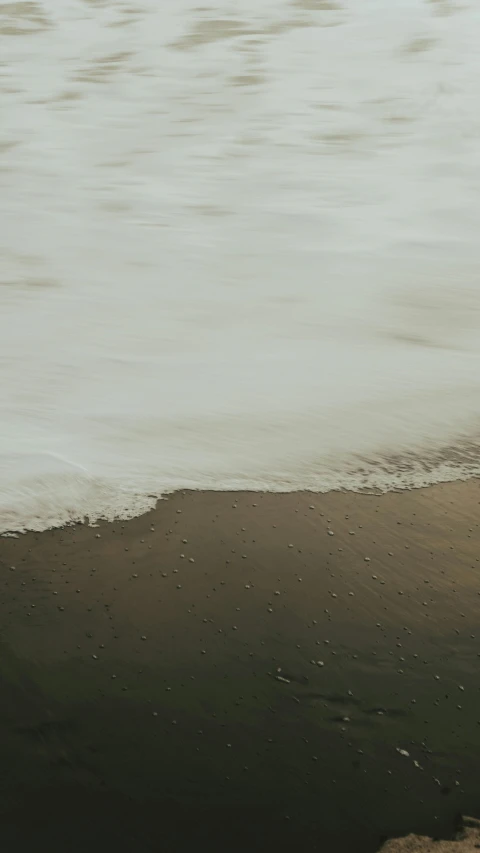 a man standing at the edge of a body of water on top of a beach