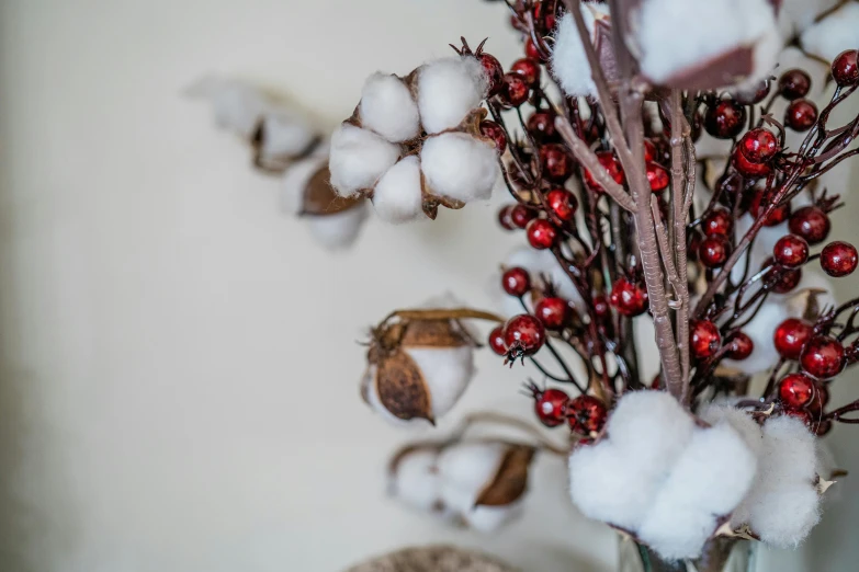 a vase full of cotton and red berries