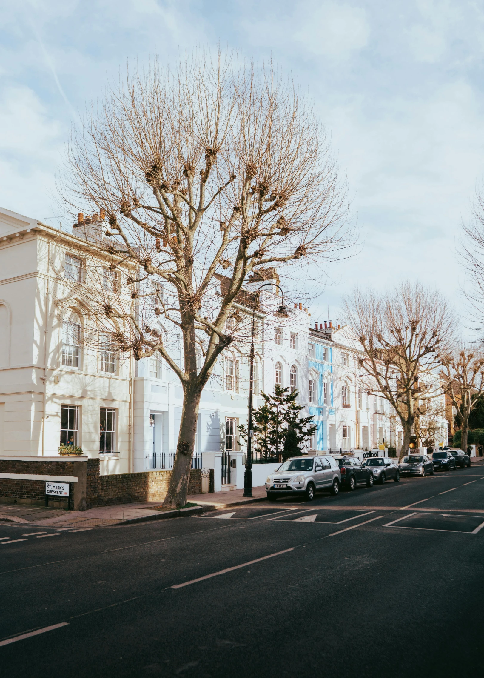 a street corner, with buildings and a large tree