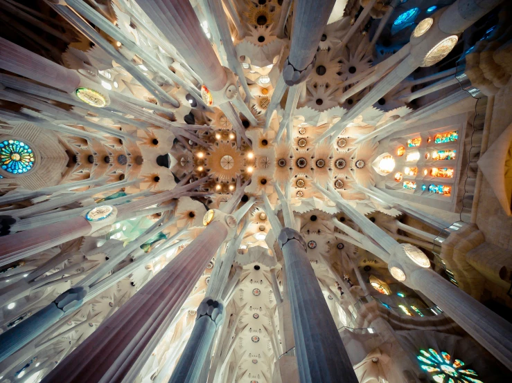 a vaulted ceiling inside of a building with many windows