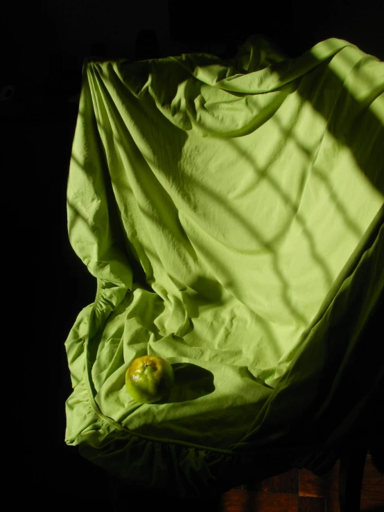 a chair covered with a green blanket that has an apple on it