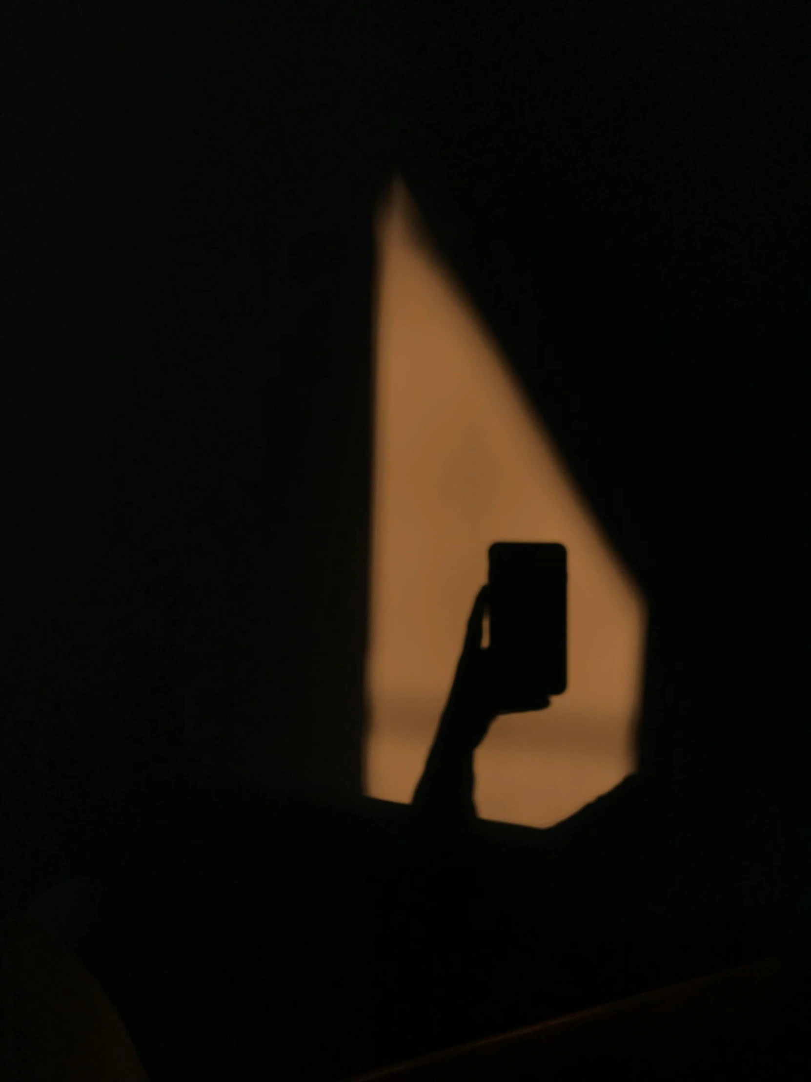 a person holding a cellphone in their hand