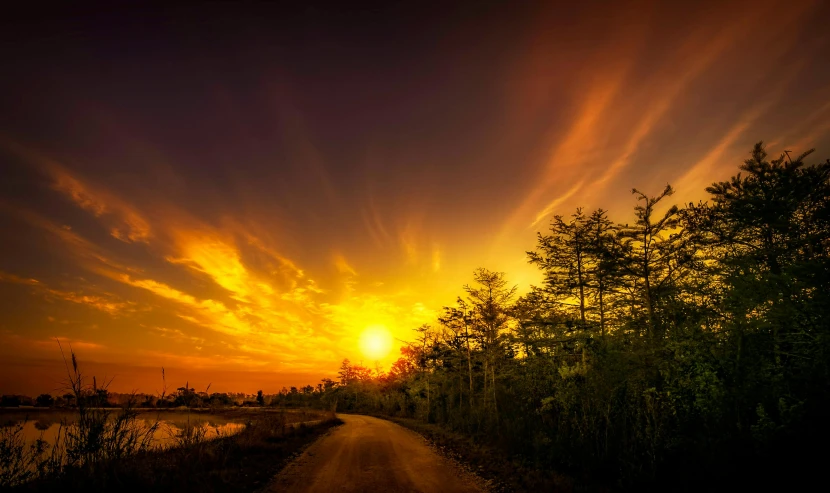 the sun sets over a dirt road next to trees