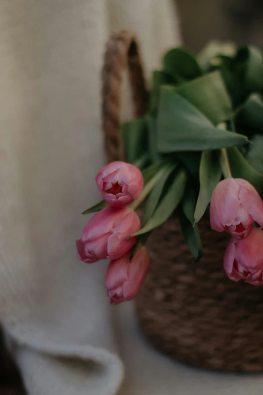 a basket of pink tulips on a counter
