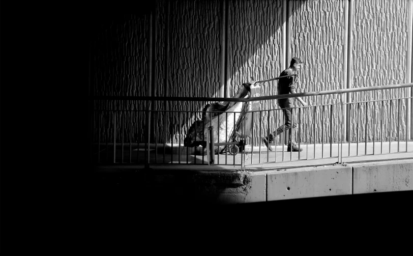 two dogs sit on a wall with bars