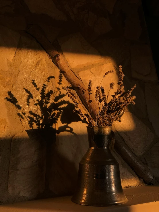 a small vase with plants and the shadow of a bell