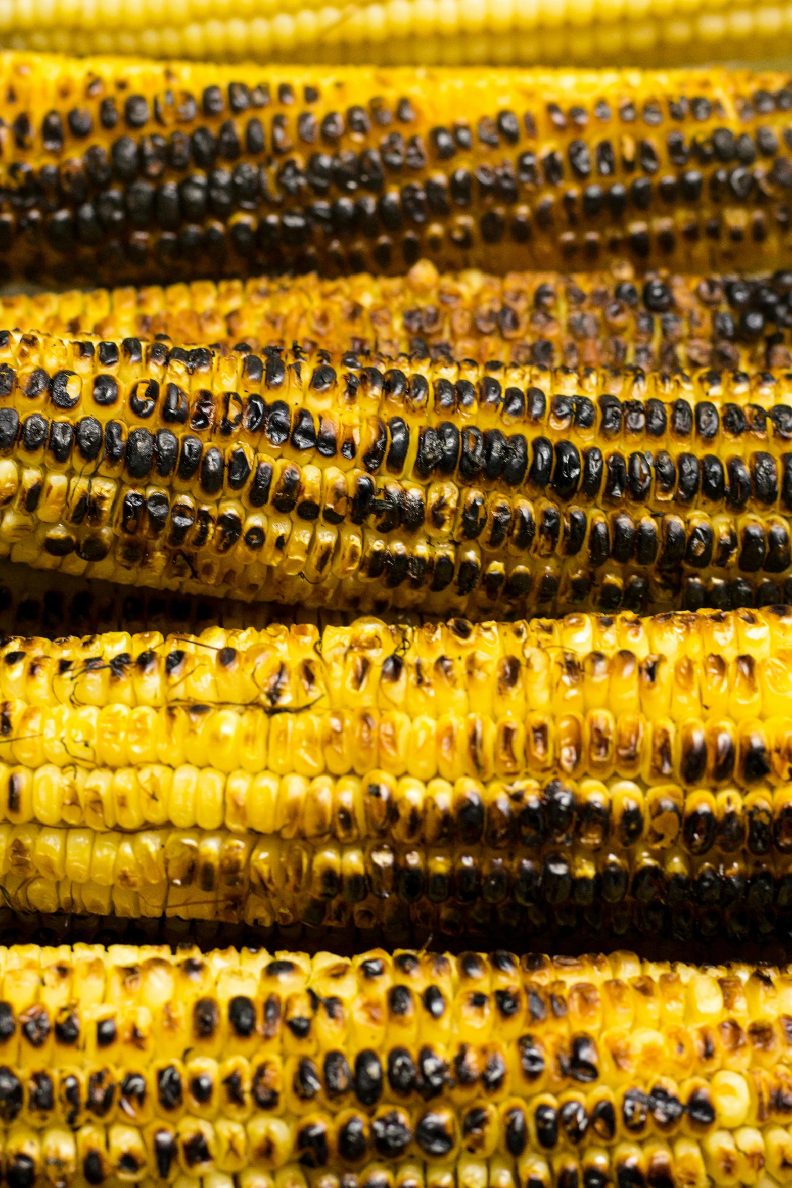 a close up of several ears of corn