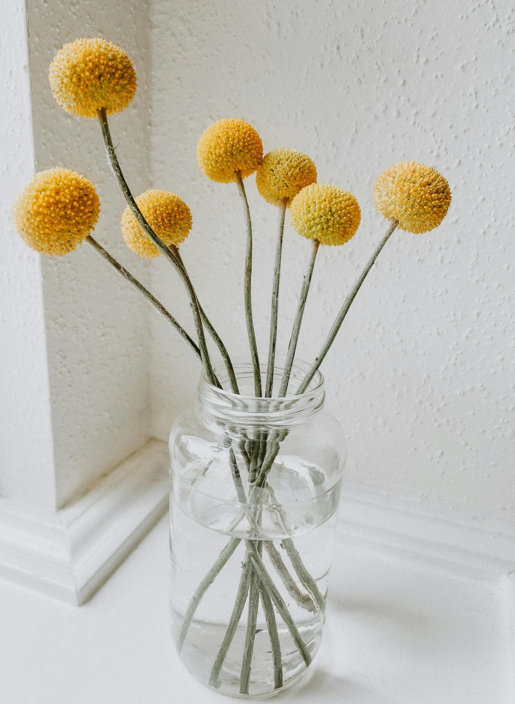 a vase filled with yellow flowers next to a white wall