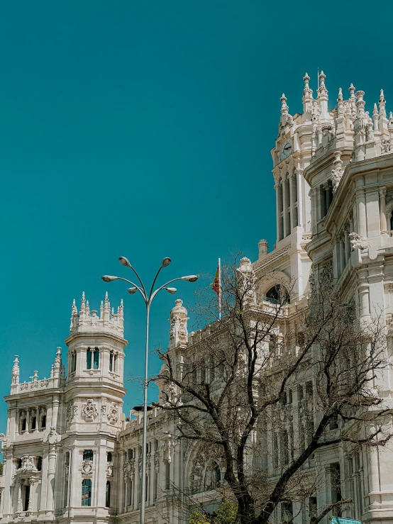 a tree in front of large white buildings