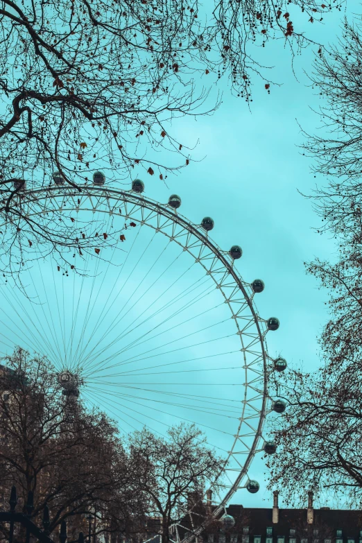 a large ferris wheel sits against the cloudy sky