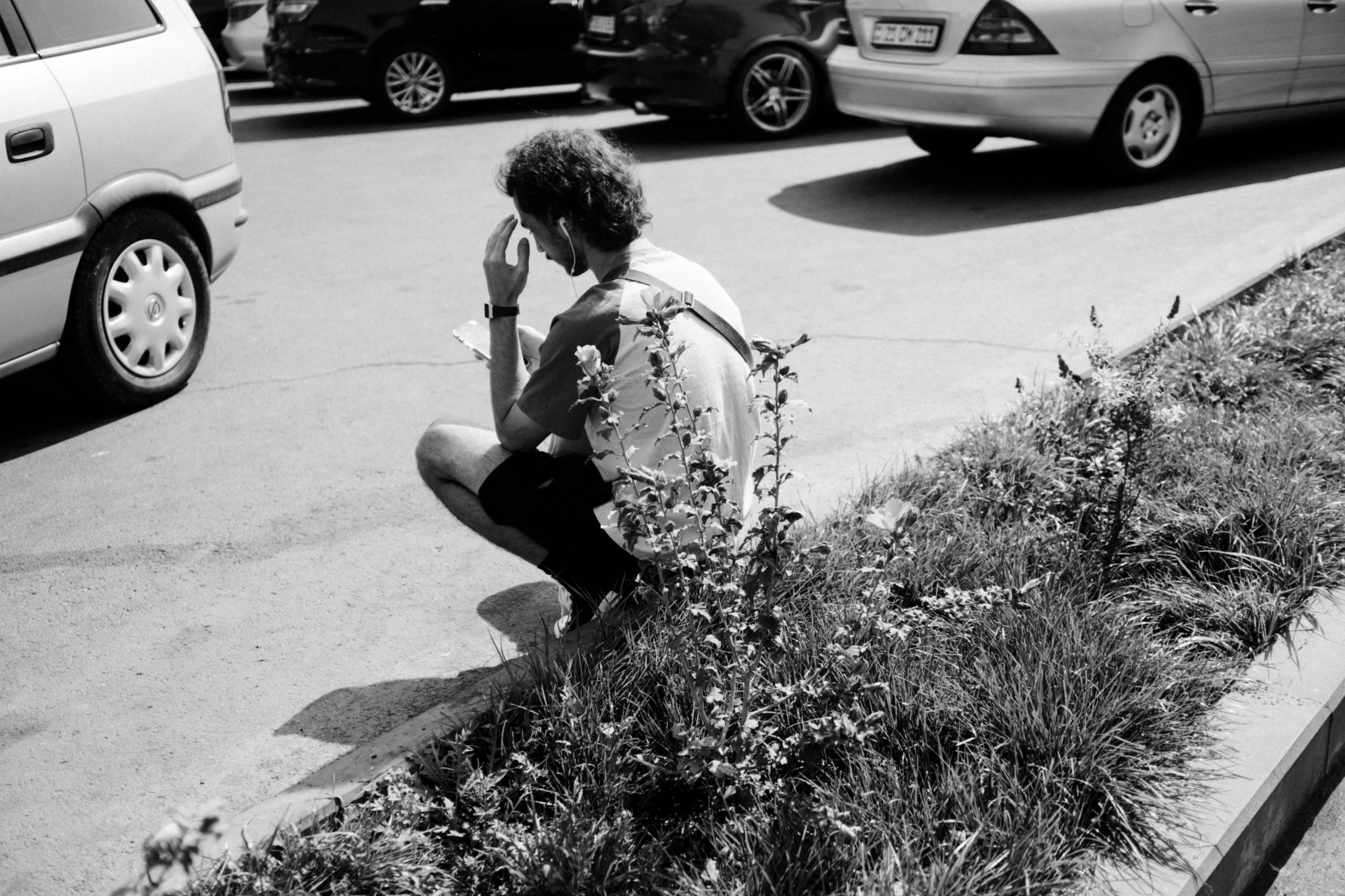 a person sits down beside a flower bush