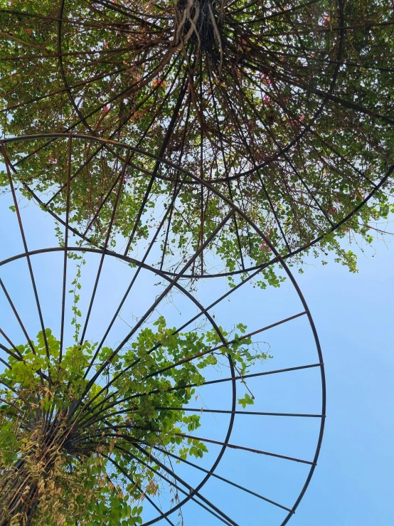 two circular metal objects with trees growing through them