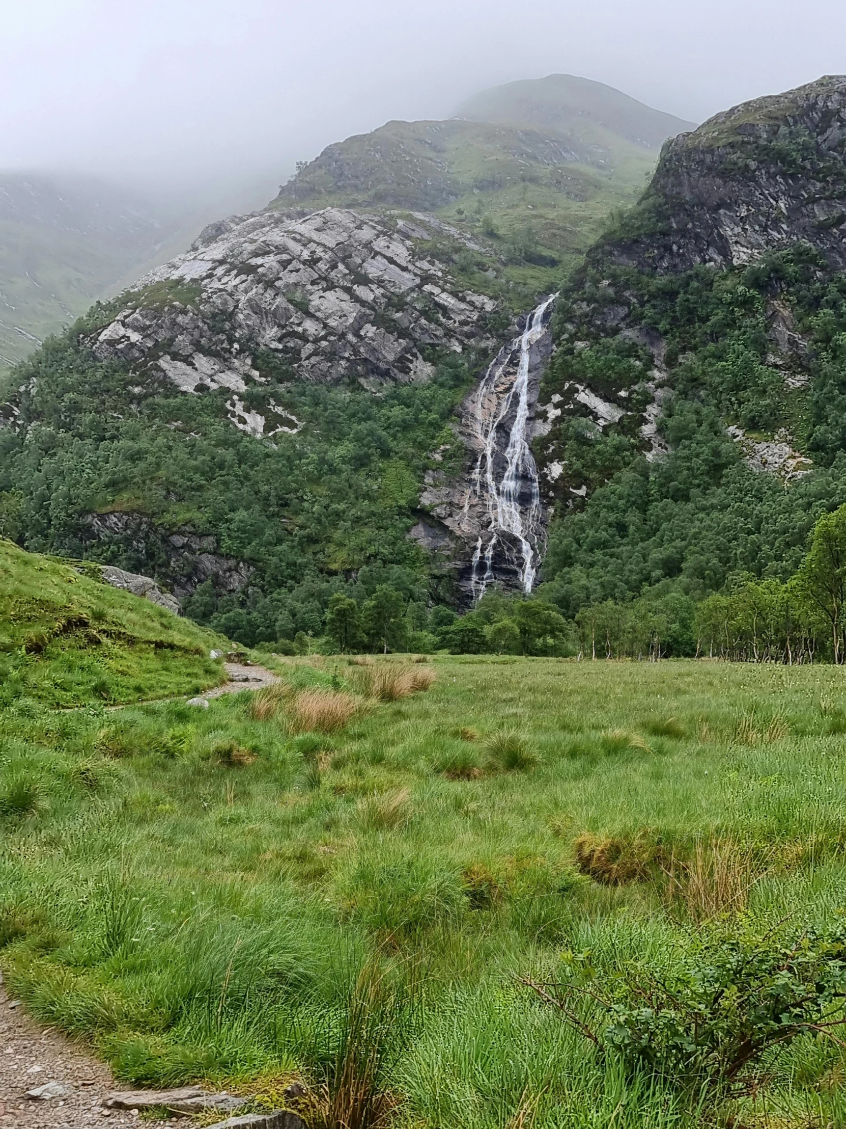 a lush green hillside with lots of tall hills