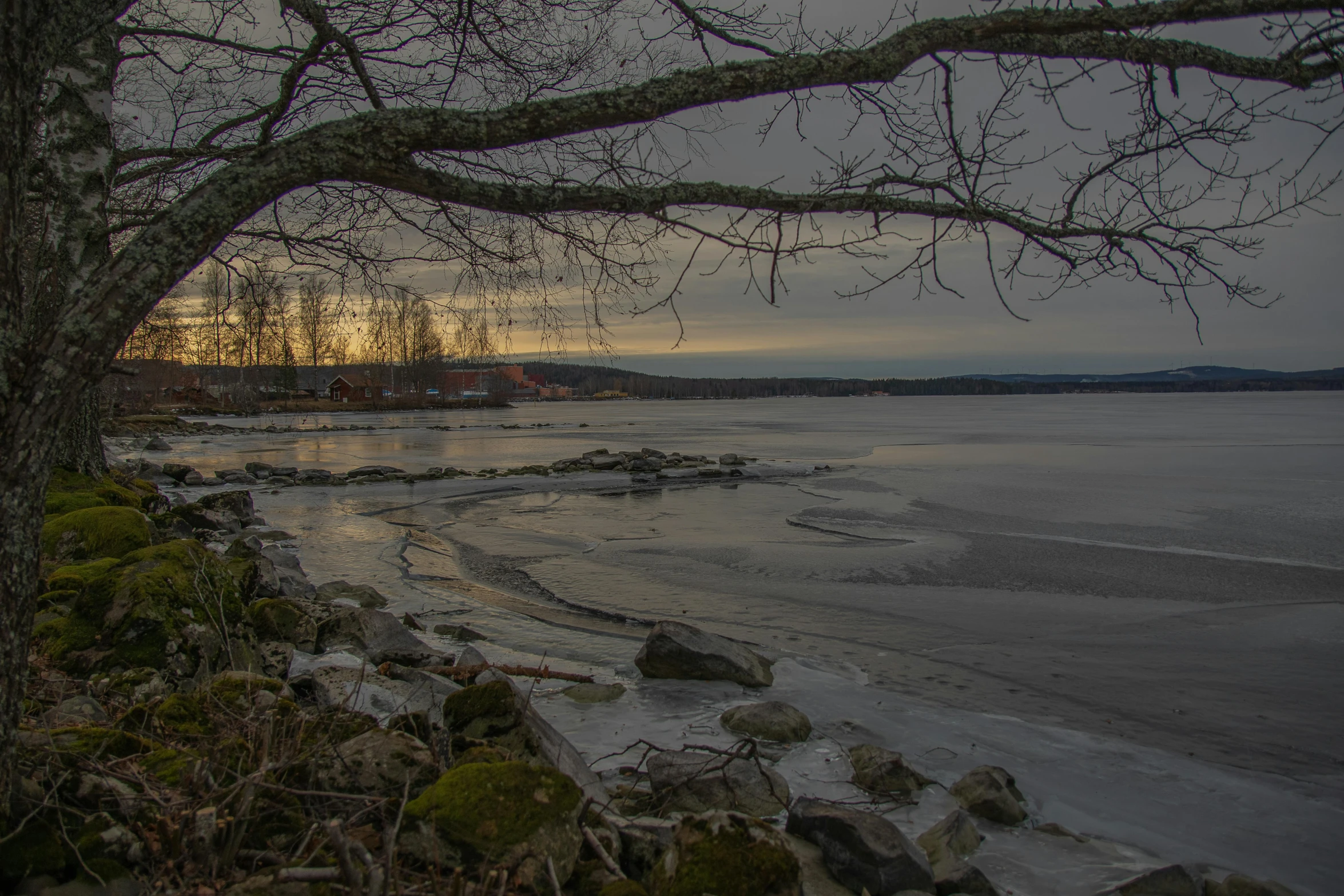 the shore line in winter with trees and a snow covered beach