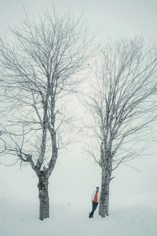 a snow covered field with two trees and a man standing next to them