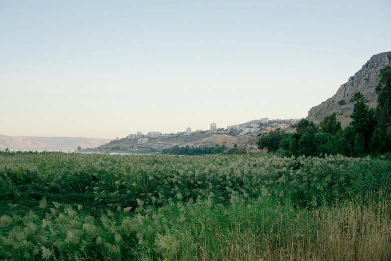 some very tall hills next to some tall grass